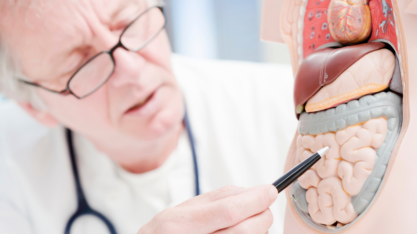 HOW TO IMPROVE GUT HEALTH AND BOOST DIGESTIVE WELLNESS