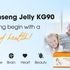 BOOSTING ENERGY AND ANTI-FATIGUE WITH THE HEALTHY SNACK - KOREAN GINSENG JELLY KG90