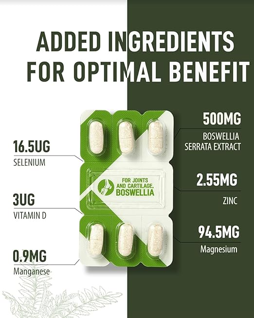 [FromBIO] Boswellia for Joint and Catilage - Nanagin