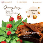 Korean Ginseng Berry Drink Extract - Nanagin