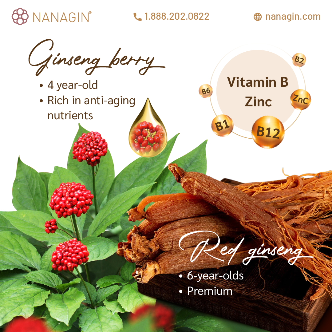 Korean Ginseng Berry Drink Extract - Nanagin