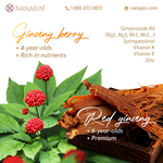 KG90 Korean Ginseng Jelly 70% OFF - Nanagin
