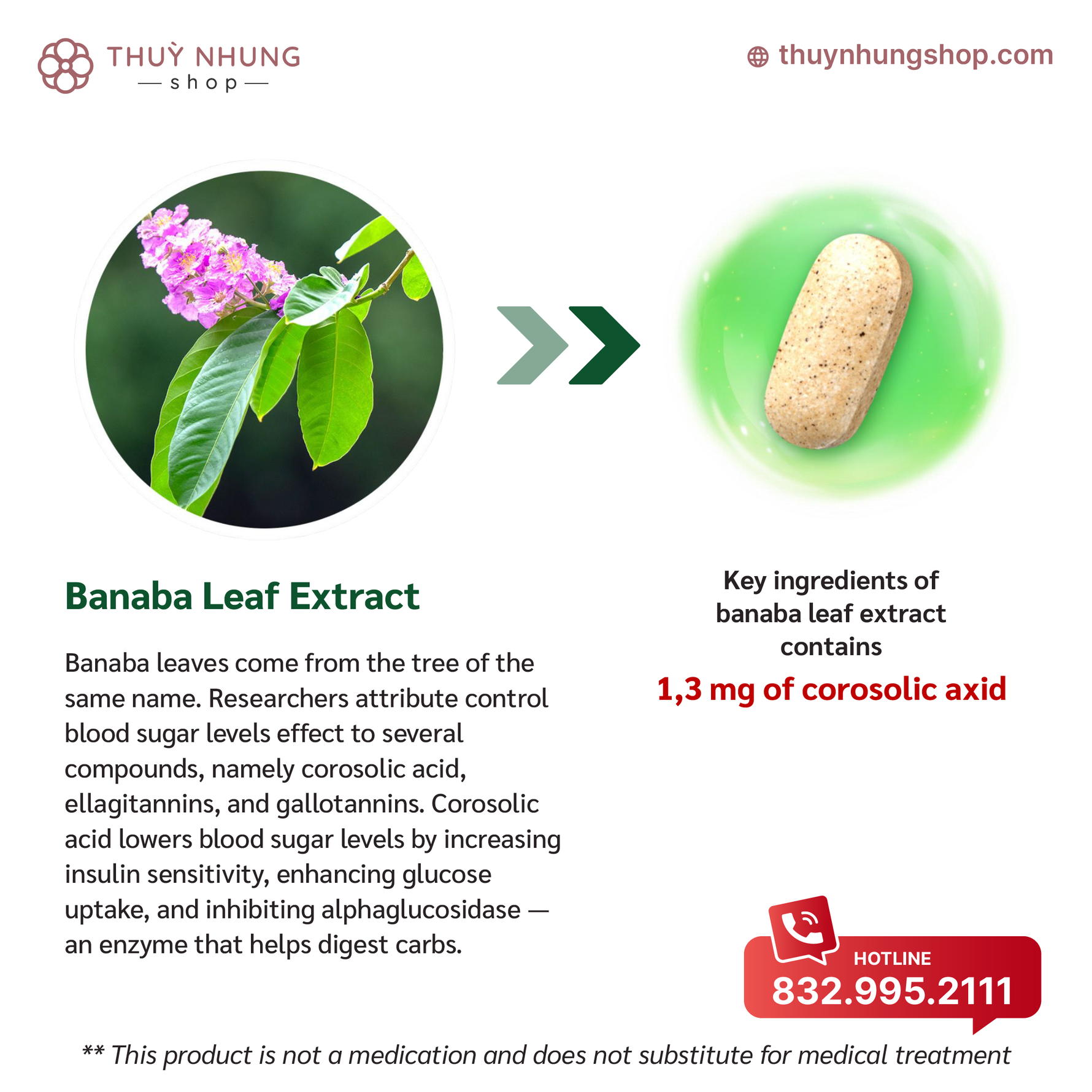 [FromBIO] Banaba Leaf for Blood sugar - Nanagin