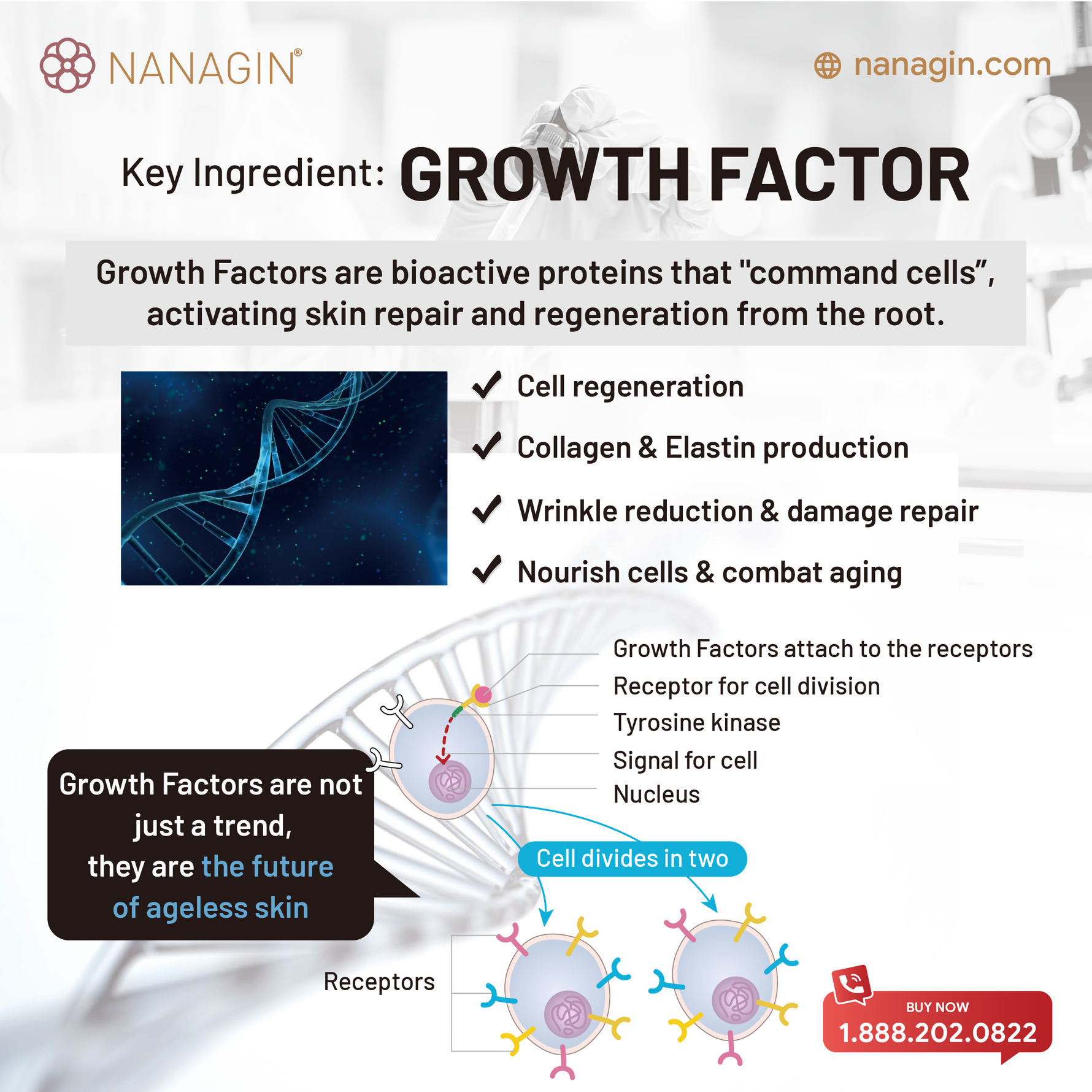 GF-X Growth Factors Ampoule - Nanagin