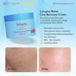 [LULUGINE] Water Core Recovery Cream - Nanagin