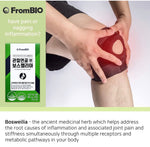 [FromBIO] Boswellia for Joint and Catilage - Nanagin