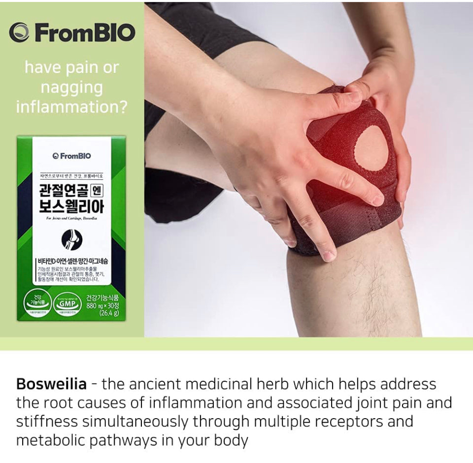 [FromBIO] Boswellia for Joint and Catilage - Nanagin