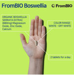 [FromBIO] Boswellia for Joint and Catilage - Nanagin
